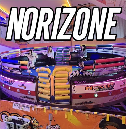 [타임세일] 대전 노리존 디스코팡팡 이용권