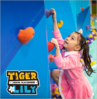 [가든파이브점/송파] 타이거릴리 카...